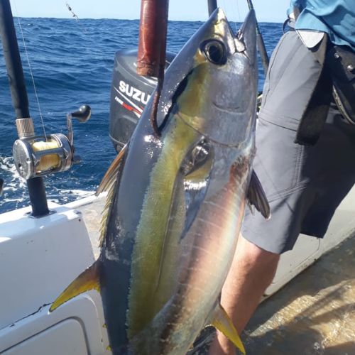 Gozo Azul Marine Suzuki Outboards • Boat Spares • Marine Oil • Fishing Packages