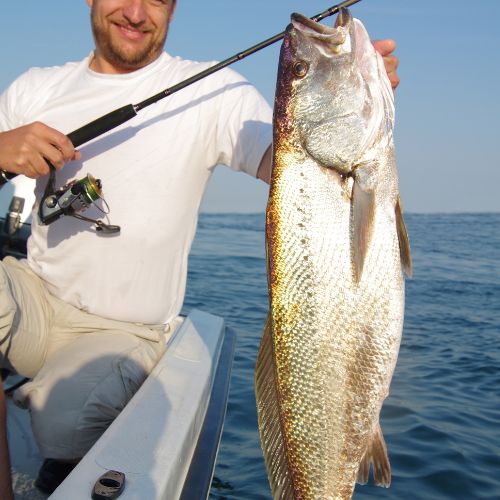 Extreme 100km Offshore Charter